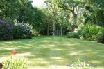 Ground was rotovated and levelled and 100 tons of topsoil imported to level and provide a rich and nutritive environment for the new shade tolerant turf.